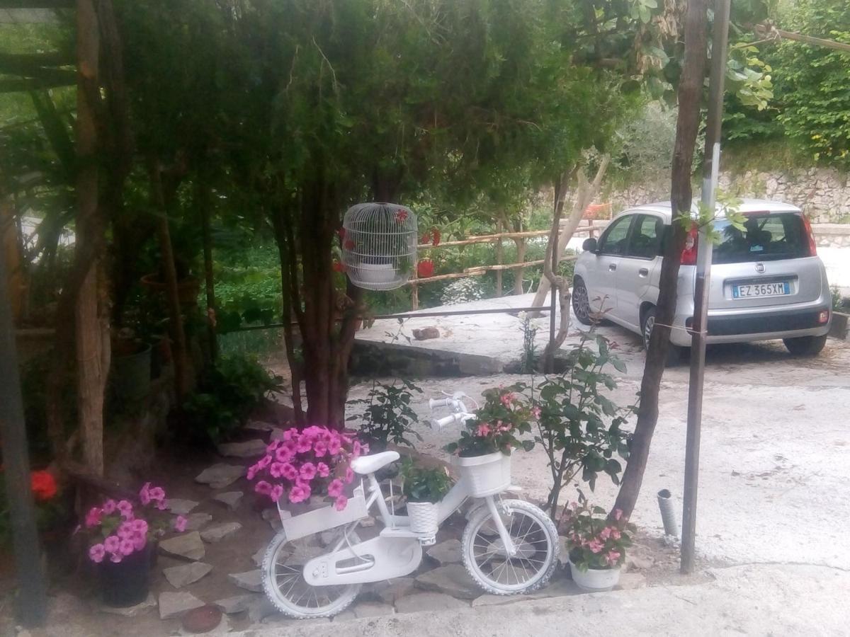 Amaa Casa Bed & Breakfast Vico Equense Luaran gambar